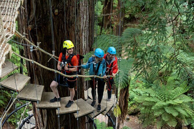 Rotorua: Redwoods Altitude High Ropes Adventure - Physical & Safety Considerations