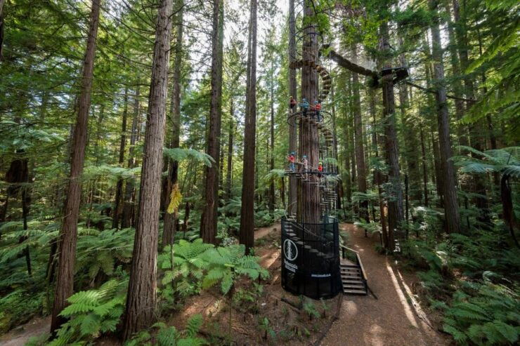 Rotorua: Redwoods Altitude High Ropes Adventure - Activity Duration and Logistics