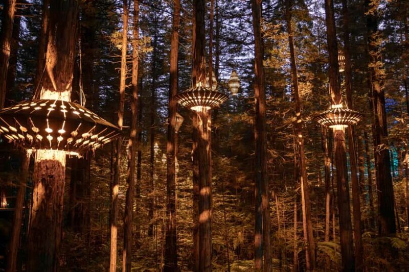 Rotorua: Redwoods Altitude, Nighttime Fast Pass, & Treewalk - Good To Know