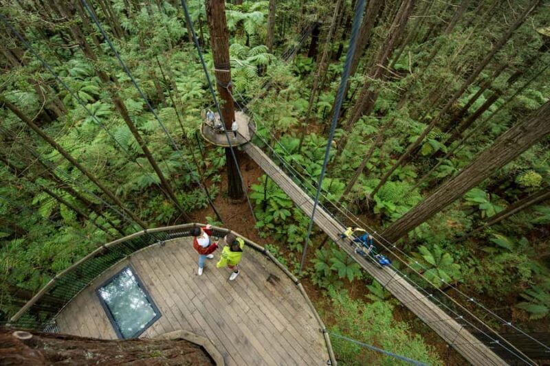 Rotorua: Redwoods Altitude, Nighttime Fast Pass, & Treewalk - Practical Details & Logistics
