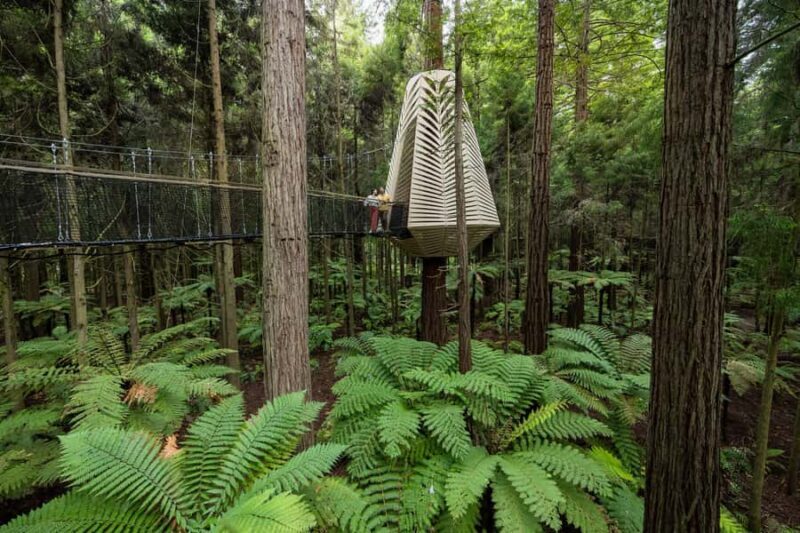 Rotorua: Redwoods Altitude, Nighttime Fast Pass, & Treewalk - Authentic Insights from Reviews