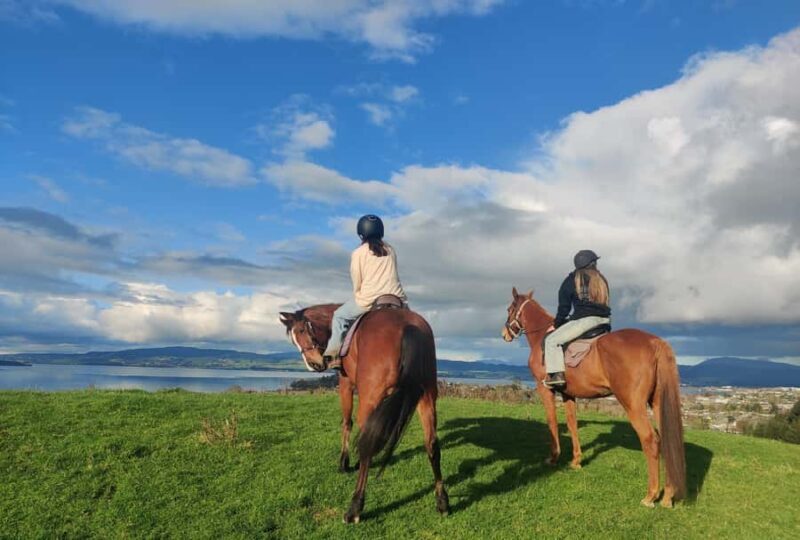 Rotorua: Scenic Horse Trek - Good To Know