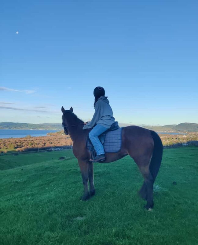 Rotorua: Scenic Horse Trek - Detailed Review of the Rotorua Scenic Horse Trek