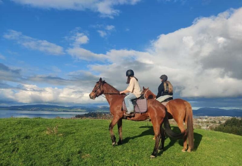 Rotorua: Scenic Horse Trek - Final Thoughts