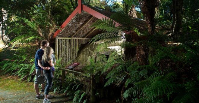 Rotorua: The Buried Village of Te Wairoa - Mt. Tarawera Volcanic Eruption