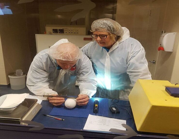 Rotorua: The National Kiwi Hatchery Tour - Experience