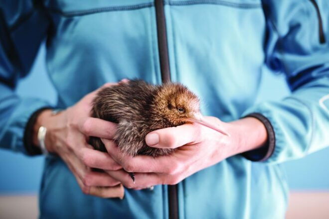 Rotorua: The National Kiwi Hatchery Tour - Customer Reviews