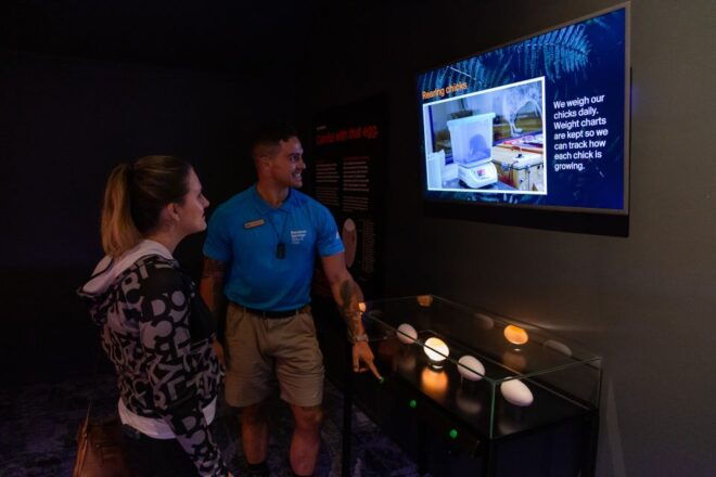 Rotorua: The National Kiwi Hatchery Tour - Additional Information