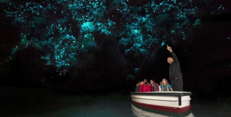 Rotorua to Auckland - Afternoon Transfer with Waitomo Caves - Rotorua to Auckland - Afternoon Transfer with Waitomo Caves: A Practical Guide