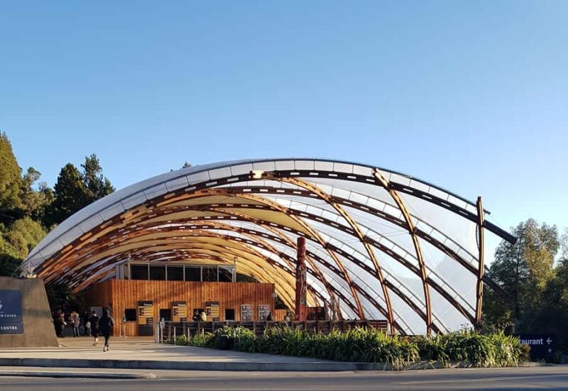 Rotorua to Auckland - Afternoon Transfer with Waitomo Caves - The Value of This Tour