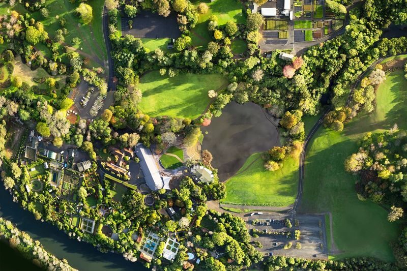Rotorua to Auckland via Taupo and Hamilton Gardens Small Group Tour - The route at a glance