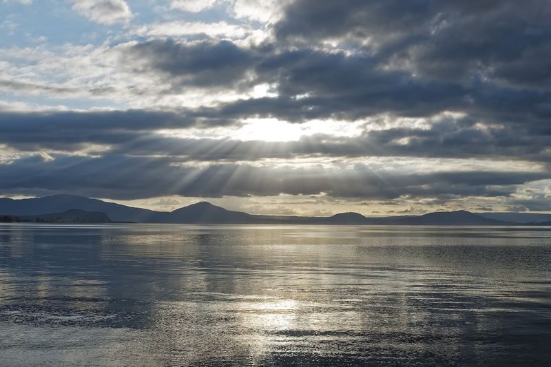 Rotorua to Auckland via Taupo and Hamilton Gardens Small Group Tour - A transfer with worthwhile stops