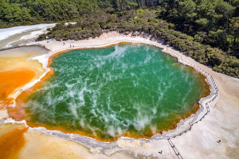 Rotorua to Auckland via Taupo and Hamilton Gardens Small Group Tour - What the guide can bring to the day