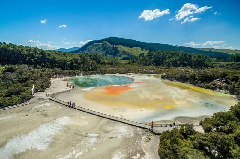 Rotorua to Auckland via Taupo and Hamilton Gardens Small Group Tour - Is $202.55 good value?
