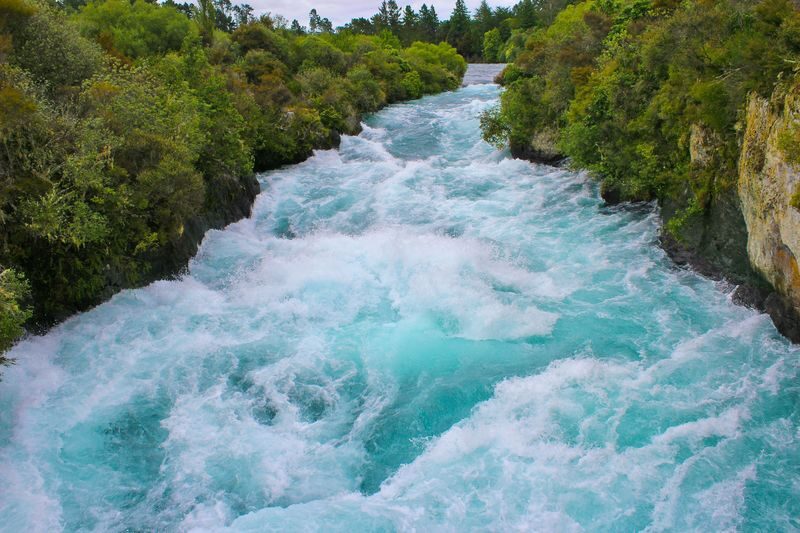 Rotorua to Auckland via Taupo and Hamilton Gardens Small Group Tour - Who will get the most from it