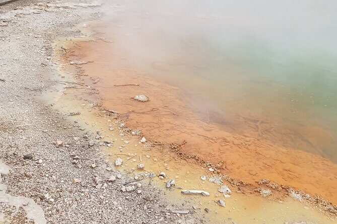 Rotorua to Wai-o-Tapu Thermal Wonderland Shuttle - Practical Details & Tips