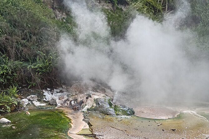 Rotorua to Waimangu Volcanic Valley Morning Shuttle - What to Expect from the Rotorua to Waimangu Valley Shuttle