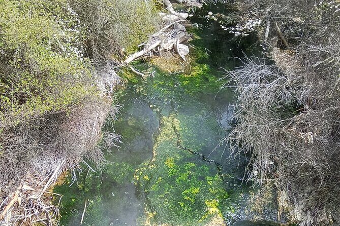 Rotorua to Waimangu Volcanic Valley Morning Shuttle - Who Should Consider This Tour?