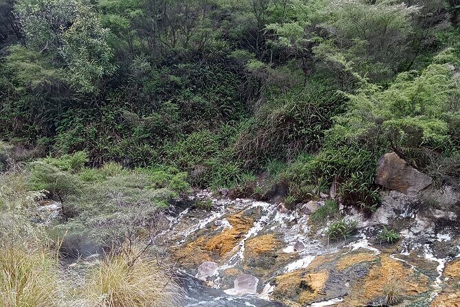 Rotorua to Waimangu Volcanic Valley Morning Shuttle - FAQ