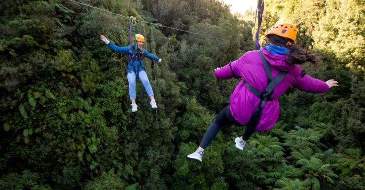 Rotorua: Ultimate Guided Zipline Tour W/ Volcanic Cliff Walk - Activity Details