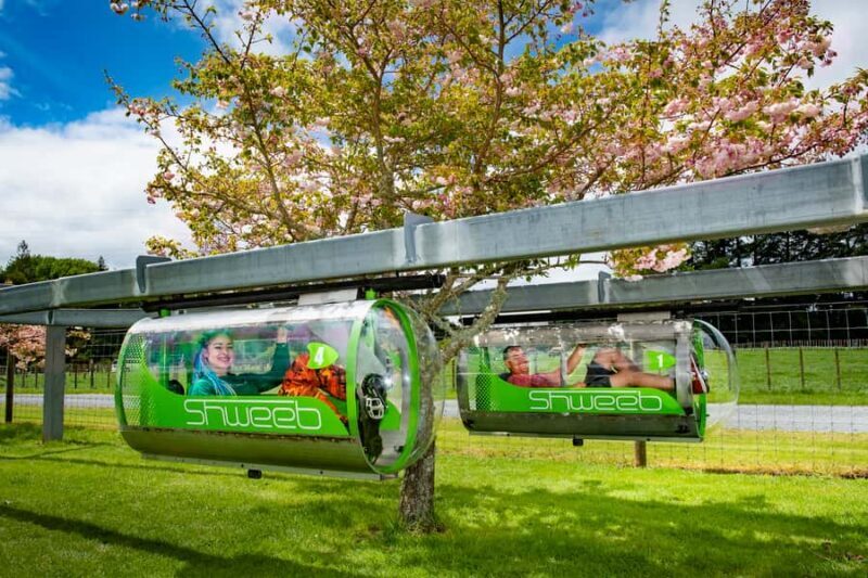 Rotorua: Velocity Valley - Two Ride Pass - Pricing and Value  