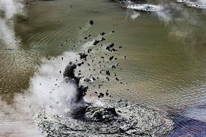 Rotorua Wai O Tapu and Secret Spot Hot Tubs - An Overview of the Itinerary