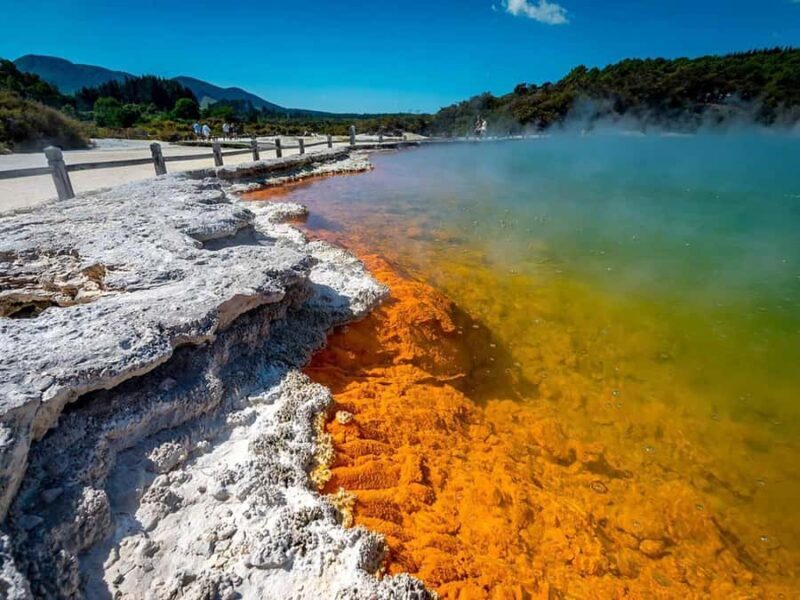 Rotorua: Wai-O-Tapu, Redwoods, and Secret Spot a Day Tour - Who is this tour best suited for?