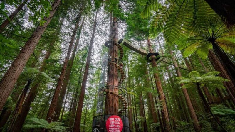 Rotorua: Wai-O-Tapu, Redwoods, and Secret Spot a Day Tour - FAQ