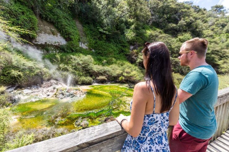 Rotorua: Waimangu Volcanic Valley Entry Ticket - Ticket Details