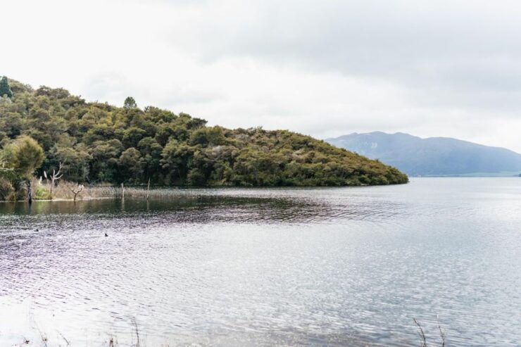 Rotorua: Waimangu Volcanic Valley Entry Ticket - Experience Highlights