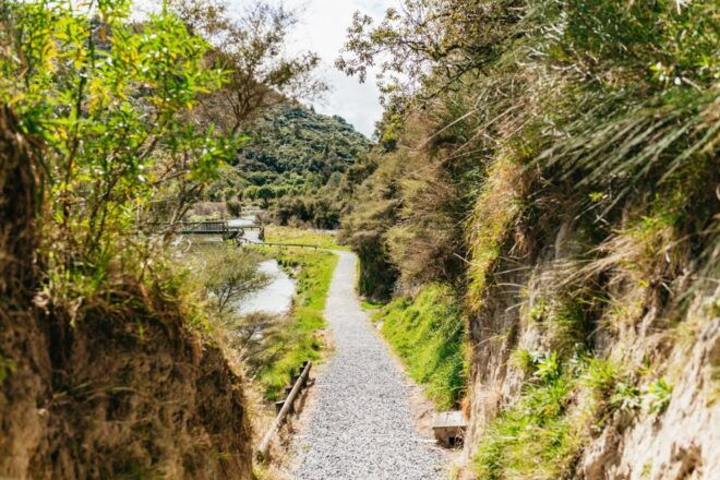 Rotorua: Waimangu Volcanic Valley Entry Ticket - Full Description