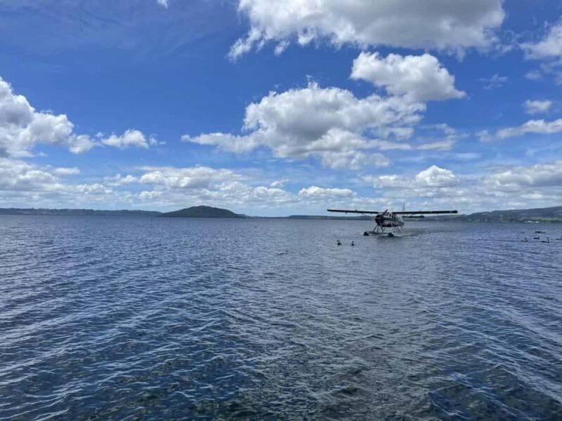 Rotorua: White Island, Mount Tarawera & Waimangu Volcanic - Good To Know