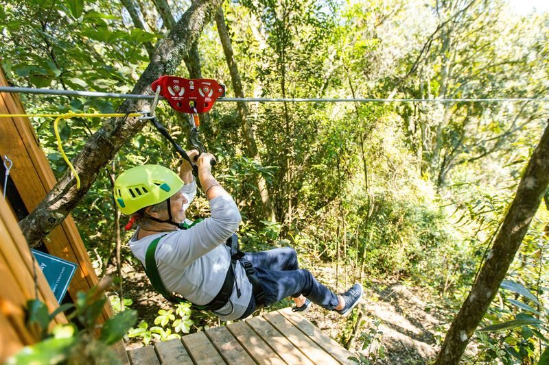 Rotorua Zipline Experience over Okere Falls - Four ziplines, one swing bridge and a forest walk