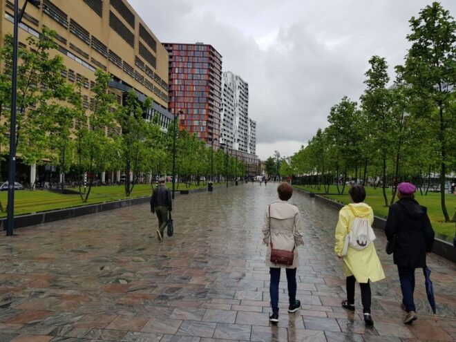 Rotterdam 2-Hour Grand Walking Tour - Directions and Meeting Point