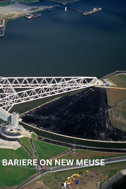 Rotterdam and Kinderdijk Daily Walking and Boat Tour - Learning About Dutch Water Management