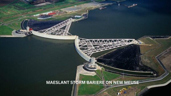 Rotterdam and Kinderdijk Daily Walking and Boat Tour - Transportation and Inclusions