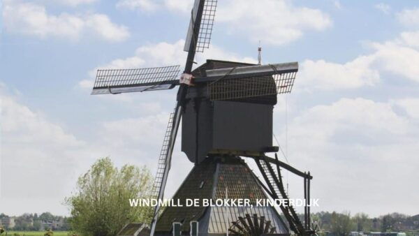 Rotterdam and Kinderdijk Daily Walking and Boat Tour - Customization and Recommendations
