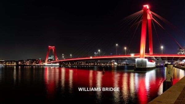 Rotterdam and Kinderdijk Daily Walking and Boat Tour - Ticket Information and Availability