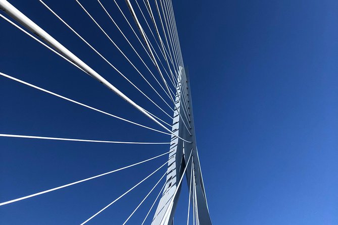 Rotterdam Architecture Highlights Walking Tour - Price and Booking Information