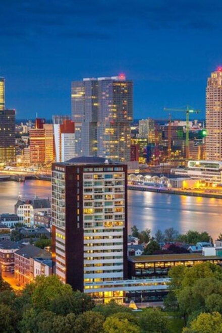 Rotterdam : Architecture Private Walking Tour - Tour Inclusions
