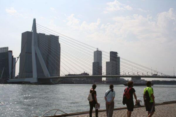 Rotterdam Architecture Walking Tour - The Sum Up