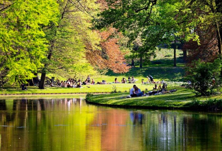 Rotterdam: Book Your (Amazing) Tour With a Local Today! - Booking Details