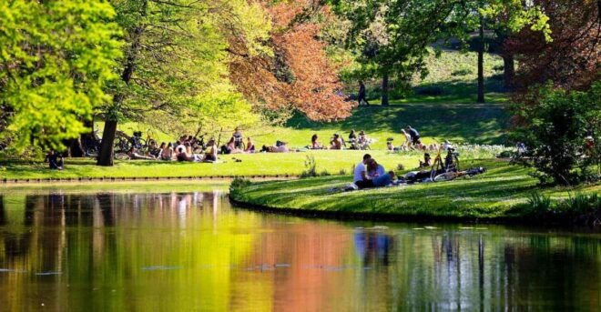 Rotterdam: Book Your (Amazing) Tour With a Local Today! - Full Tour Description