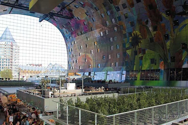 Rotterdam: City Center Walking Tour - Scenic Views Experienced