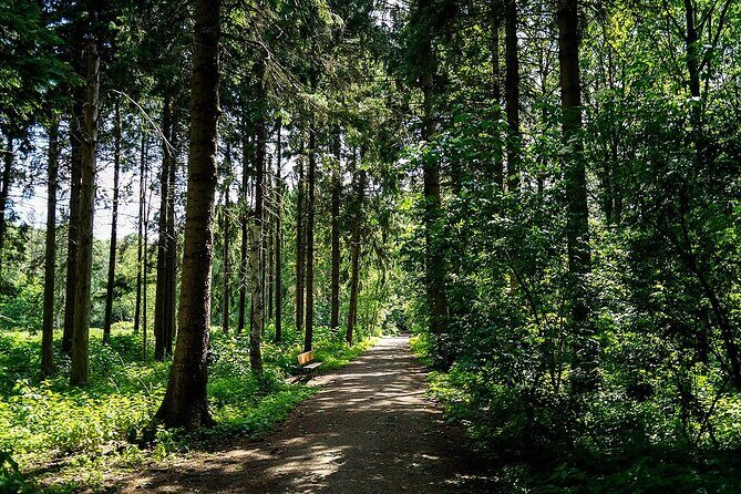 Rotterdam countryside on the wheels - bike tour around city - Stop 5: Kralingse Plas – The Forested Lake