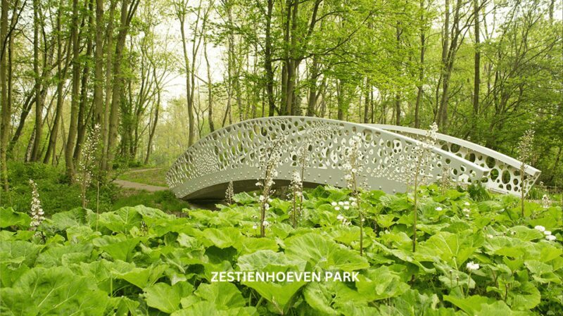 Rotterdam countryside on wheels - bike tour around city - The Real Value of the Experience