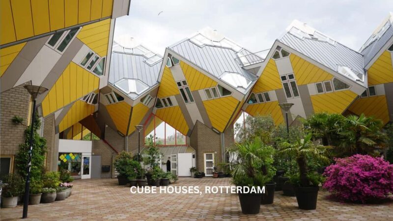 Rotterdam countryside on wheels - bike tour around city - The Sum Up