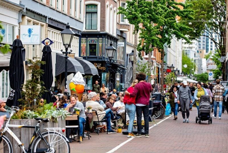 Rotterdam: & Delft: Day-trip tour with local guide - A Closer Look at the Rotterdam & Delft Day Trip