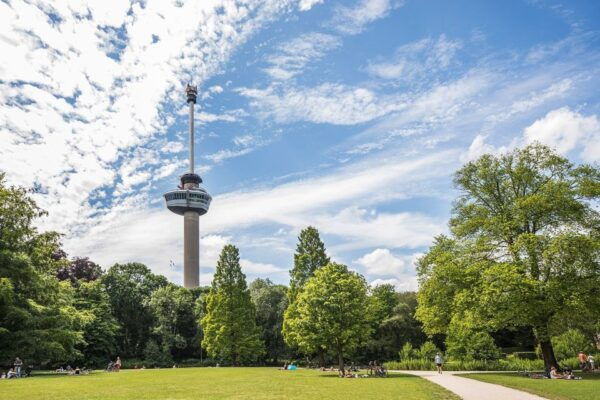 Rotterdam: Euromast Lookout Tower Ticket - The Sum Up