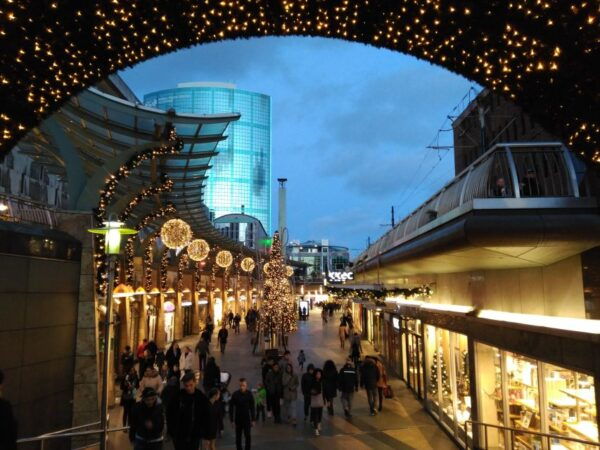 Rotterdam: Evening Architecture Walking Tour - The Sum Up